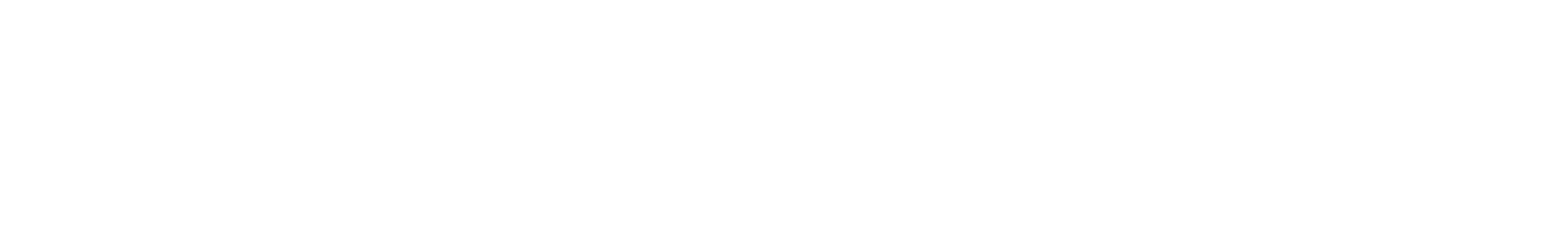 Paysoftware Logo